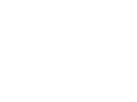 Stadler Trier